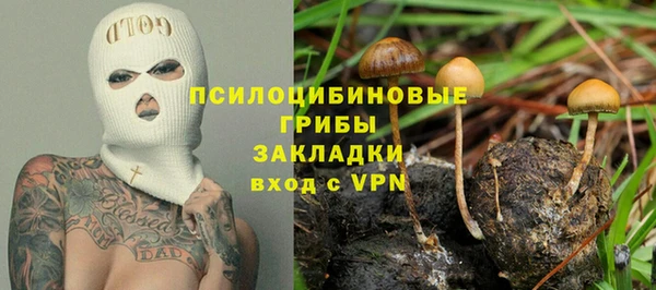 первитин Володарск