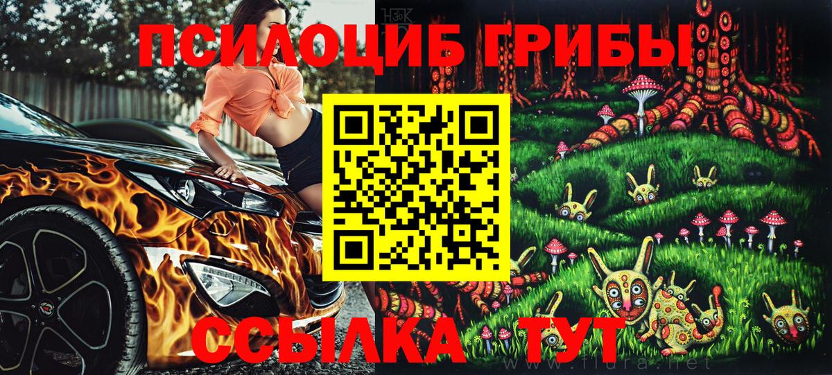 Псилоцибиновые грибы Psilocybe Ангарск